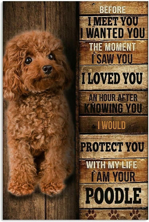 Jigsaw Puzzles 1000 Piece for Adults - Vintage Cute Brown Poodle Dog Fun Puzzle Educational Family Game