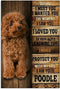 Jigsaw Puzzles 1000 Piece for Adults - Vintage Cute Brown Poodle Dog Fun Puzzle Educational Family Game