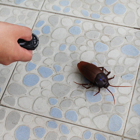 Tipmant RC Cockroach Remote Control Car, Realistic Big Insect Toy with Glowing Eyes for Kids