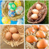 6Pcs YunKo Wooden Fake Eggs Brown Wood Nest Easter Eggs for Craft Decorate Get hens to Lay Egg Chicken Coop Accessories