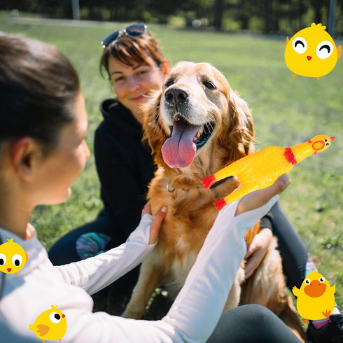 Honoson 50 6.3 Inch(Yellow) Pcs Rubber Chickens Squeak Screaming Chicken Novelty Bulk Dog Toys for Pets Dogs Adults