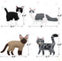 7 8 9 10 11 12 Set 12PCS CiyvoLyeen Cat Sewing Kit for Kids Ages Kitten Plush Toys Arts & Crafts for Beginners, Learn