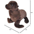 Format: Toy 8 Inches Wild Republic Sea Lion Plush, Stuffed Animal, Plush Toy, Gifts for Kids, Cuddlekins