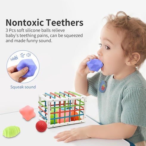 AiTuiTui Montessori Baby Toys for 1 Year Old, Shape Sorter with 3 Soft Textured Balls for Early Learning