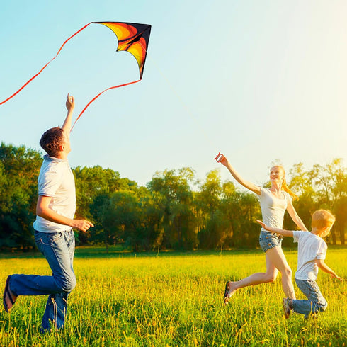 Delta Kite for Kids & Adults, Single Line Beach and Park Kite for Family Outdoor Activities
