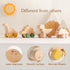 Wooden Dinosaur Cars Montessori Toys, Baby Push Car Toys, Developmental Infant Grasping Toys (3PCS)
