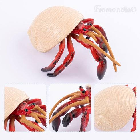 Framendino 4 Pack , Realistic Sea Animals Hermit Crab Model for Home Decorations
