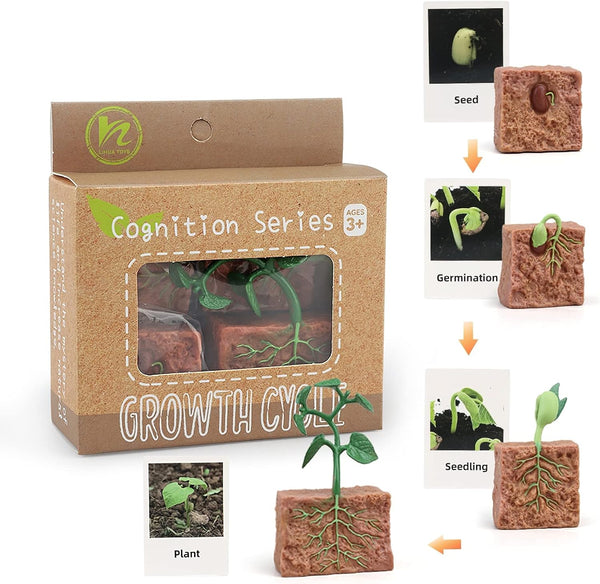 Montessori Life Cycle Animal Figures with Flash Cards, Realistic Animal Figurines Educational Matching Game for 3+