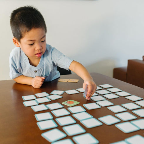 Wildkin Memory Matching Game Cards for Boys & Girls, 36 Pairs Memory Learning Cards for Toddlers and Preschool