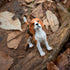 2.5" 3+ Safari Ltd. Beagle Figurine - Detailed Plastic Model Figure - Fun Educational Play Toy for Boys, Girls & Kids