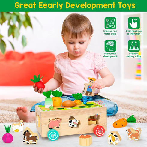 Toddlers Montessori Educational Wooden Shape Sorting Toys with Vegetables & Farm Animals for Ages 1-3