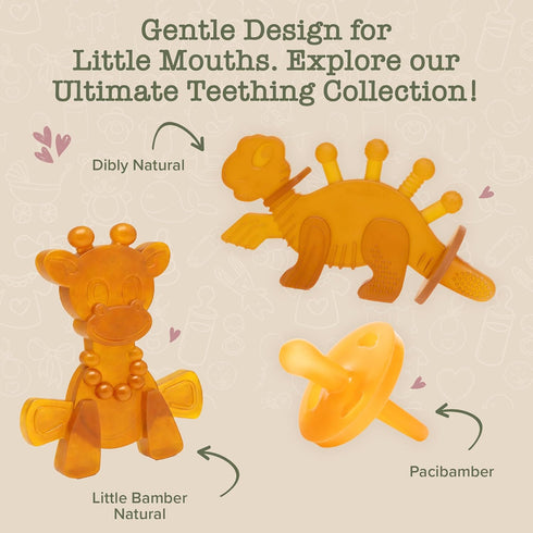 6-12 2 Bambeado PaciBamber Baby Pacifier - Natural Pacifier & Baby Teething Toy - Made with Natural Rubber and Baltic