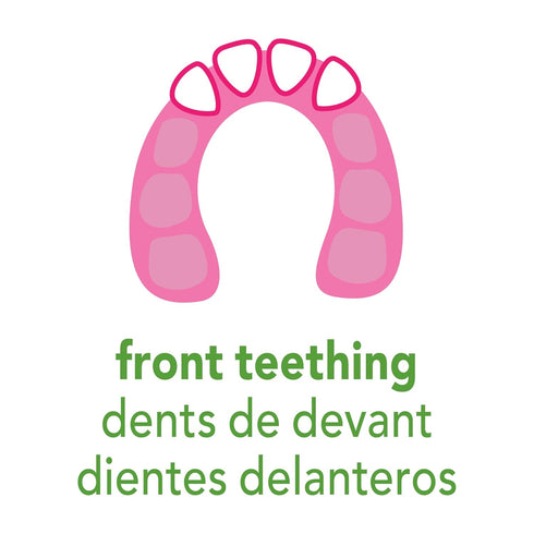(2 Pack) Green Sprouts Cooling Teether Soothes Gums & Promotes Healthy Oral Development Safer Plastic Filled