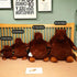 Djungelskog 39.3 Inch (39.3in/100cm) Bear - Soft and Giant Bear - Huggable and Cuddly Plush Toy - Ideal Gift for Kid