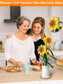AMSHINE Set, Sunflower Bouquet Building Block Flower with Vase Building Toys, Home Garden Office Decorations and Party
