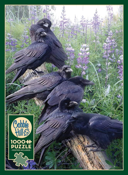 Cobble Hill 1000 Piece Puzzle - Raven Rendezvous with Sample Poster Included