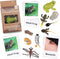 MEROCO Live Tadpole to Frog Life Cycle Toys for Kids, Educational Insect Matching Game