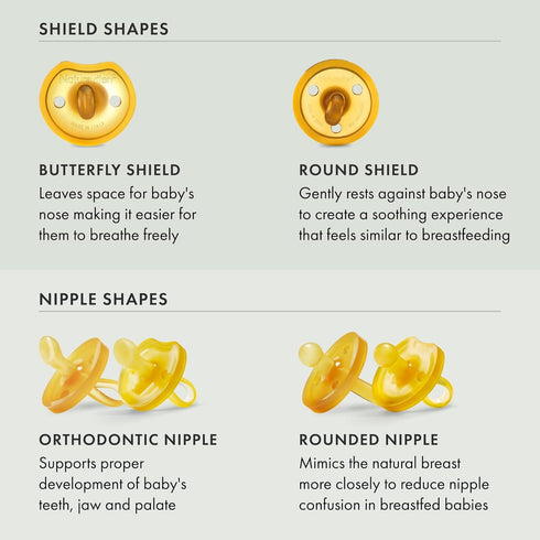 2-Pack 6-12 Natursutten Natural Rubber Pacifiers - Safe & Soft BPA-Free Pacifier for Breastfeeding Babies, Made