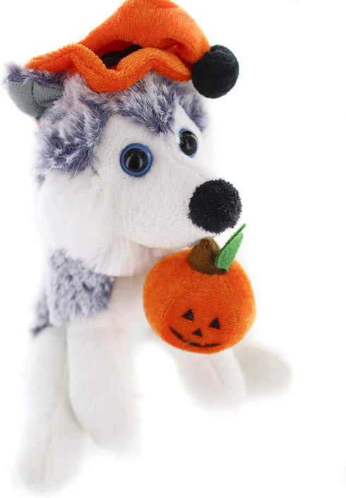 Plushland Halloween Pawpals 8 Inch Puppy Dog Plush Toy with Hat and Jack O Lantern for Kids