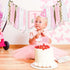 1st Goose Birthday Highchair Banner Hat Cake Topper Highchair Photo Prop for Birthday Party Decorations (Goose)