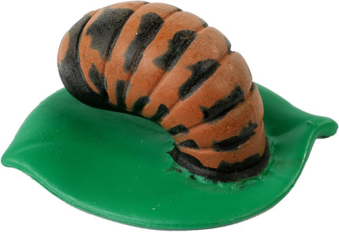 Insect Lore Ladybug Life Cycle, 4 PC Insect Figure Shows Life of Lady Bug