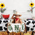 1st Western Cowboy One High Chair Banner, Cowboy Birthday Decorations High Chair Banner Pre-Assemble First Rodeo