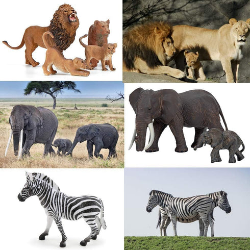 BOLZRA 14 Playset Safari Zoo Animals Figures Toys, Piece Realistic Jungle Animal Figurines, African Wild Plastic