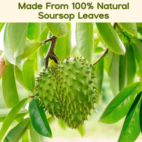 30 Pure Soursop Leaves Tea Bags, Natural Soursop Graviola Leaves Teabag, Handmade Made of Premium Guanabana Leaves, Pleasant Taste Natural Flavor, No Sugar/Caffeine/Gluten (1.5g/bag)
