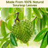 30 Pure Soursop Leaves Tea Bags, Natural Soursop Graviola Leaves Teabag, Handmade Made of Premium Guanabana Leaves, Pleasant Taste Natural Flavor, No Sugar/Caffeine/Gluten (1.5g/bag)