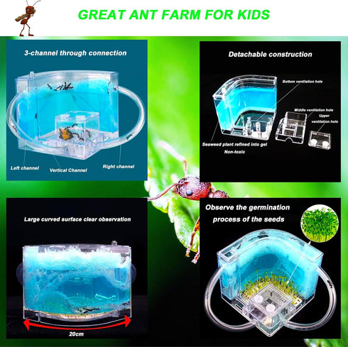 Ant Farm Gel Ant Castle Colony Ecosystem Terrarium Kit for Kids