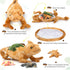 5Pcs 27" 4 Giant Lizard Plush, Mother Iguana Stuffed Animal with Baby Lizard Plushies, Bearded Dragon Plush Toy