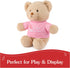 GUND 12” “I'm The Big Sister” Sustainable Message Bear, Tan Teddy Bear Made from 100% Recycled Materials