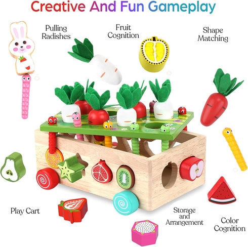 1 2 3 1st 1-3, Toddlers Montessori Wooden Educational Toys for Baby Boys Girls Age Year Old, Shape Sorting Toys One