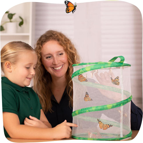 Insect Lore Raise and Release Butterfly Garden Kit Caterpillar Habitat with redeemable Voucher STEM-accredited