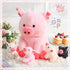 5 12 Inch Mommy 4 Silipull Pcs Pig Stuffed Animals, Large Plush Pig with Little Baby in Mother Belly, Gifts