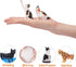 Toymany 8PCS Realistic Cat Figurines - Educational Cat Figures Toy Set, Kitten Easter Eggs, Cake Topper Gift