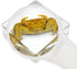 6 Set,Hermit PCS Marine Life Specimen Crab,Fiddler Crab,Starfish,Nassariidae,Sea Cucumber, Chiromantes Dehaani Resin