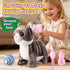 HCdoujoy Set Grey Robotic Cat Toy for Kids Remote Control Walking Kitten for Girls with Leash Electronic Pet That Meow
