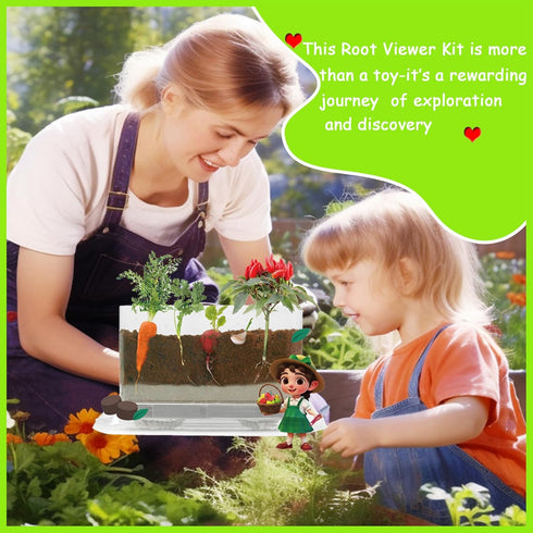 6 7 8 9 10 Set, WKLOUYHE Root Viewer Kit for Kids STEM Science Toy & Craft Growing Kits for Ages Birthday Easter Gifts
