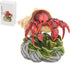 Gemini&Genius Hermit Crab Action Figure Toy, Under The Sea Life Figure Educational Gifts for Kids Animal Lovers