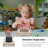 House Fan 3 Sets Fan for Home, Wooden Solar Model Educational Science Kit