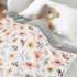 30 40 Inch(75x100cm) BORITAR Kids Baby Blankets Soft Plush Mink Fabric for Girls,Elegant Daisy Floral Receiving
