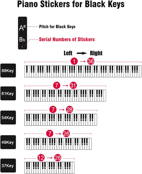 Eison Colorful Piano Stickers for Keys - Removable 88/61/54/49/37 Full Set Stickers, Great Children's Gift
