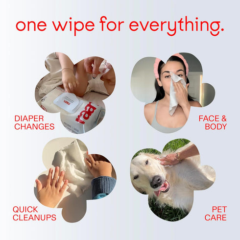 100% 99% 4 pack, 240 Count Raan, Cotton Baby & Toddler Wipes, Unbleached, Purified Water, Unscented, EWG verified, Made