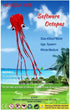 Hengda Kite Software Octopus Flyer Kite, Long Colorful Tail for Kids and Adults, Easy to Fly