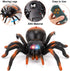 Liberty Imports RC Moving Tarantula Spider - Kids Wireless Remote Control Toy, Great for Pranks and Halloween Decorations, Realistic Scurrying Movement, Glowing LED Eyes