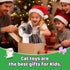 HCdoujoy Set Grey Robotic Cat Toy for Kids Remote Control Walking Kitten for Girls with Leash Electronic Pet That Meow