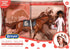 Breyer Horses Freedom Series Cheryl White Horse and Book Set, 1:12 Scale Horse Toy Model, Model #6236
