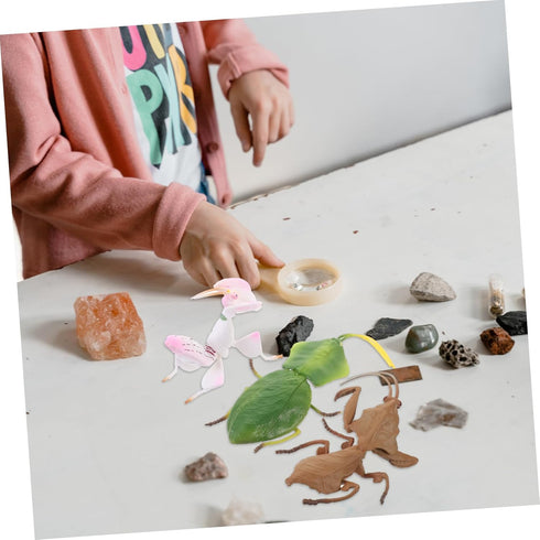 TOYANDONA Desktop Decor - 3pcs Plastic Playes Realistic Simulation Model Small Mantis Decoration