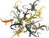 Kvvdi 12pcs 5 Inch Colorful Fake Plastic Lizard Toys, Realistic Reptile Action Figures